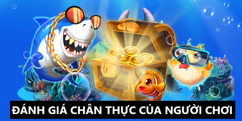 Những đánh giá chân thực về bắn cá 3D online