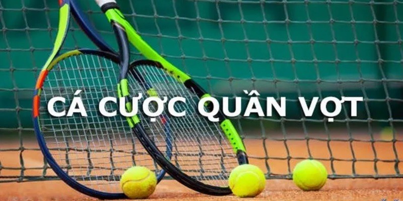 Các giải đấu Tennis mang đến cho bạn nhiều lựa chọn