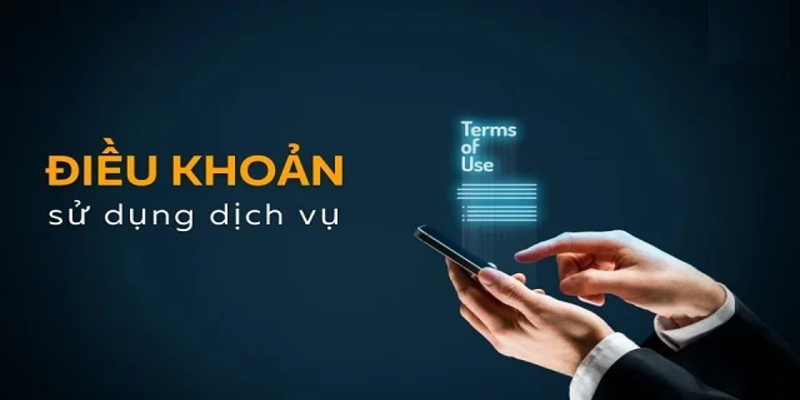 Điều khoản của người dùng khi tham gia chơi tại trang web.